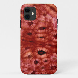 Sclerenchyma-cellen uit een Cherry Pit Case-Mate iPhone Case
