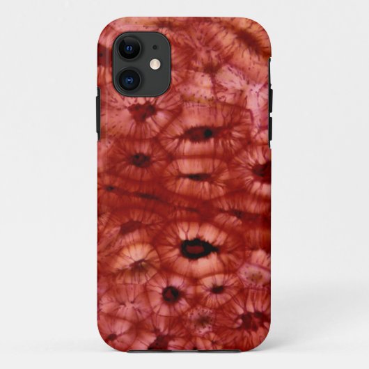Sclerenchyma-cellen uit een Cherry Pit Case-Mate iPhone Case (Achterkant)