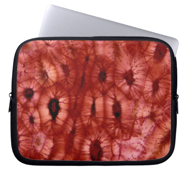 Sclerenchyma-cellen uit een Cherry Pit Laptop Sleeve (Voorkant)