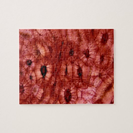 Sclerenchyma-cellen uit een Cherry Pit Legpuzzel (Horizontaal)