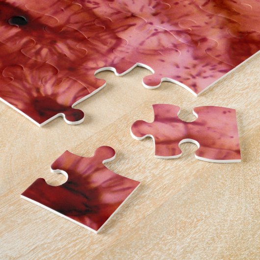 Sclerenchyma-cellen uit een Cherry Pit Legpuzzel (Zijkant)