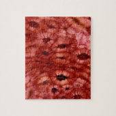 Sclerenchyma-cellen uit een Cherry Pit Legpuzzel (Verticaal)