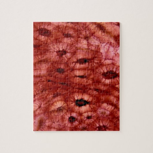 Sclerenchyma-cellen uit een Cherry Pit Legpuzzel (Verticaal)