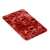 Sclerenchyma-cellen uit een Cherry Pit Magneet (Rechterzijde)