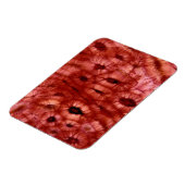 Sclerenchyma-cellen uit een Cherry Pit Magneet (Linkerzijde)