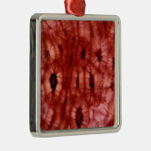 Sclerenchyma-cellen uit een Cherry Pit Metalen Ornament (Rechts)