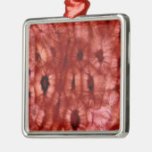 Sclerenchyma-cellen uit een Cherry Pit Metalen Ornament (Links)