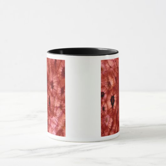 Sclerenchyma-cellen uit een Cherry Pit Mok (Midden)