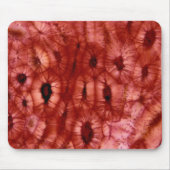 Sclerenchyma-cellen uit een Cherry Pit Muismat (Voorkant)