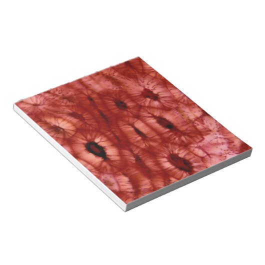 Sclerenchyma-cellen uit een Cherry Pit Notitieblok (Schuin)