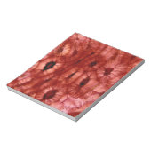 Sclerenchyma-cellen uit een Cherry Pit Notitieblok (Linkerzijde)