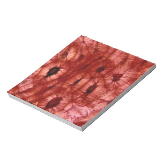 Sclerenchyma-cellen uit een Cherry Pit Notitieblok (Linkerzijde)