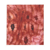 Sclerenchyma-cellen uit een Cherry Pit Notitieblok (Voorkant)