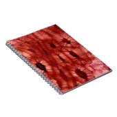 Sclerenchyma-cellen uit een Cherry Pit Notitieboek (Rechterzijde)