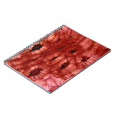 Sclerenchyma-cellen uit een Cherry Pit Notitieboek (Linkerzijde)