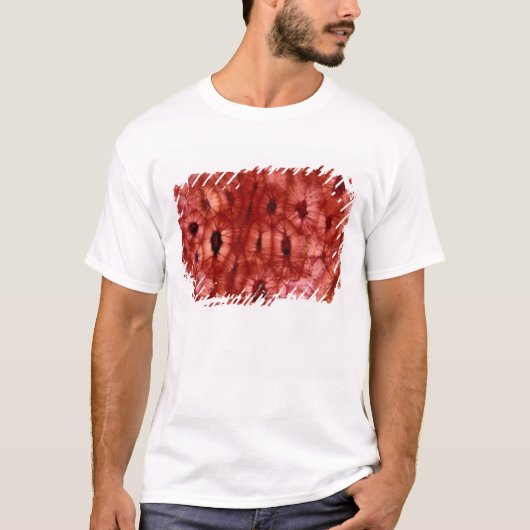 Sclerenchyma-cellen uit een Cherry Pit T-shirt (Voorkant)