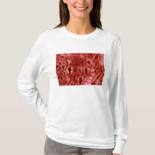 Sclerenchyma-cellen uit een Cherry Pit T-shirt