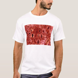 Sclerenchyma-cellen uit een Cherry Pit T-shirt