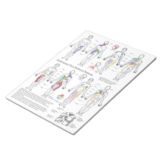 Sclerotome Pijn Referral Handouts Notitieblok (Schuin)