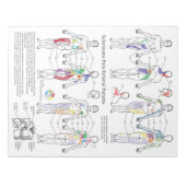 Sclerotome Pijn Referral Handouts Notitieblok (Voorkant)