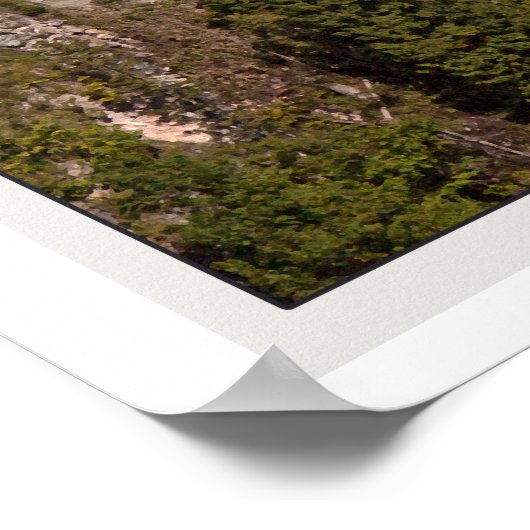 Scloss Neuschwanstein Poster (Hoek)