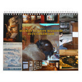 SCM - BUFFALO-HOESJE - CALENDAR KALENDER (Hoes)