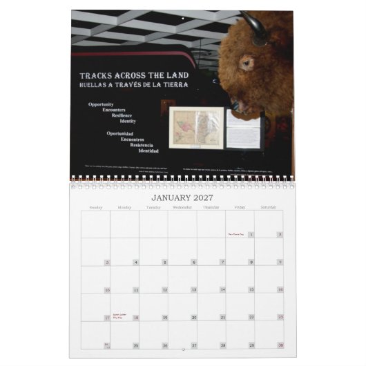 SCM - BUFFALO-HOESJE - CALENDAR KALENDER (Jan 2027)