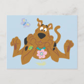 Scooby-Doo Admiring Flower Briefkaart (Voorkant)