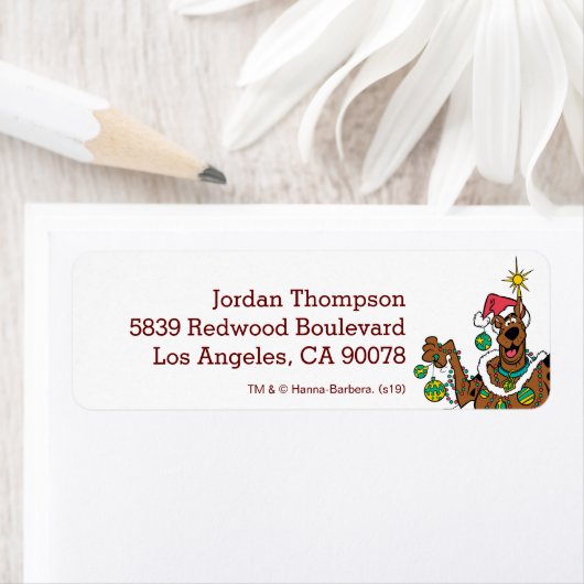 Scooby-Doo All Decked Out Etiket (Insitu)