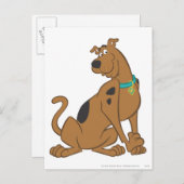 Scooby-Doo Bashful Pose Briefkaart (Voorkant / Achterkant)