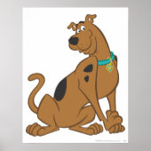 Scooby-Doo Bashful Pose Poster (Voorkant)