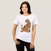 Scooby-Doo Bashful Pose Tri-Blend Shirt (Voorkant volledig)