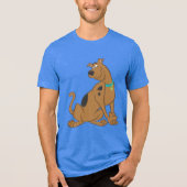 Scooby-Doo Bashful Pose Tri-Blend Shirt (Voorkant)