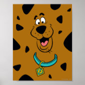 Scooby-Doo Camouflage Poster (Voorkant)
