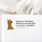 Scooby-Doo Cuter Than Cute Etiket (Insitu)