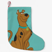 Scooby-Doo Cuter Than Cute Kleine Kerstsok (Voorkant)