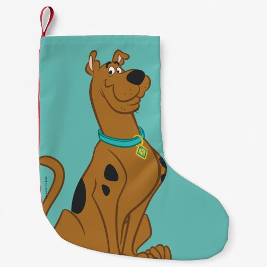 Scooby-Doo Cuter Than Cute Kleine Kerstsok (Voorkant)