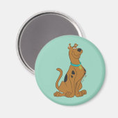 Scooby-Doo Cuter Than Cute Magneet (Voorkant / Achterkant)