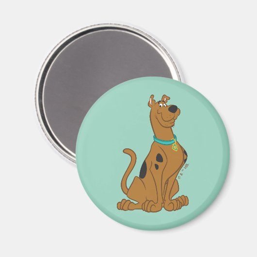 Scooby-Doo Cuter Than Cute Magneet (Voorkant / Achterkant)