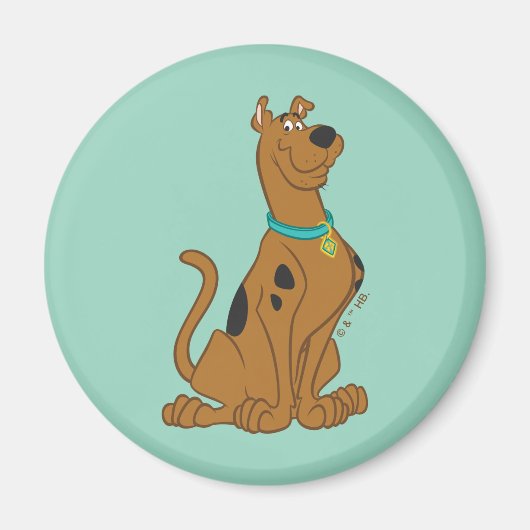 Scooby-Doo Cuter Than Cute Magneet (Voorkant)