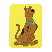 Scooby-Doo Cuter Than Cute Magneet (Verticaal)
