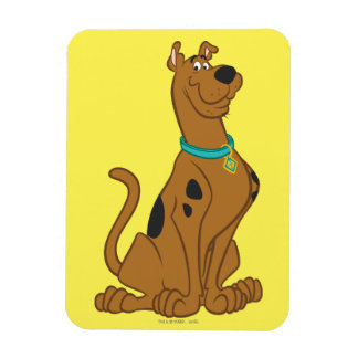 Scooby-Doo Cuter Than Cute Magneet