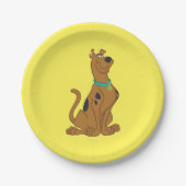 Scooby-Doo Cuter Than Cute Papieren Bordje (Voorkant)