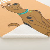 Scooby-Doo Cuter Than Cute Sherpa Deken (3/4)