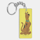 Scooby-Doo Cuter Than Cute Sleutelhanger (Voorkant Links)