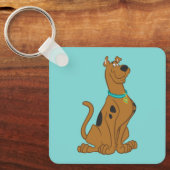 Scooby-Doo Cuter Than Cute Sleutelhanger (Voorkant)
