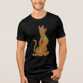 Scooby-Doo Cuter Than Cute Tri-Blend Shirt (Voorkant)