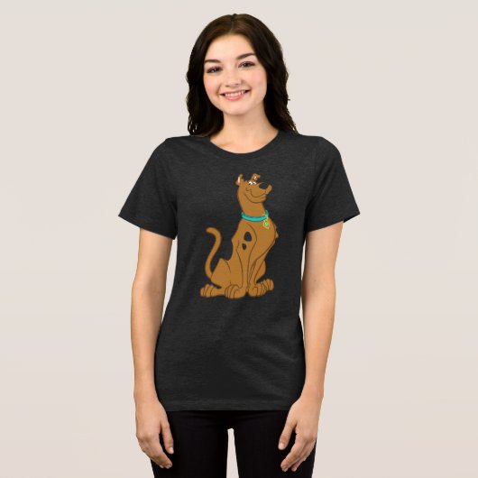 Scooby-Doo Cuter Than Cute Tri-Blend Shirt (Voorkant volledig)