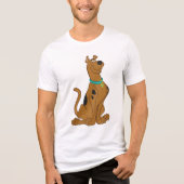 Scooby-Doo Cuter Than Cute Tri-Blend Shirt (Voorkant)