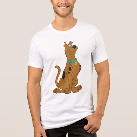 Scooby-Doo Cuter Than Cute Tri-Blend Shirt (Voorkant)